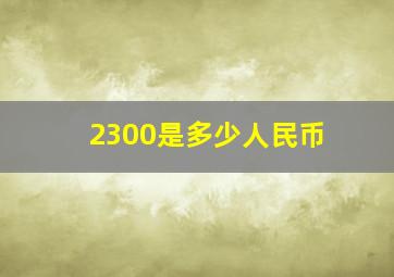 2300是多少人民币