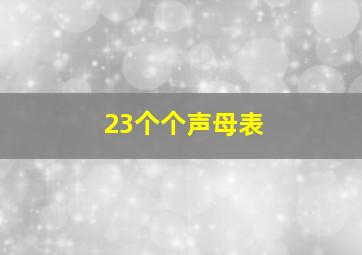 23个个声母表