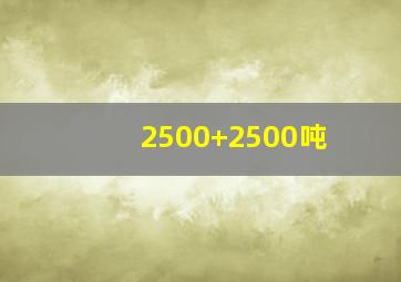 2500+2500吨