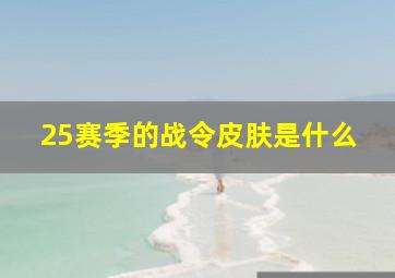 25赛季的战令皮肤是什么