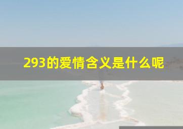 293的爱情含义是什么呢