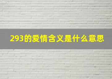 293的爱情含义是什么意思