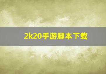 2k20手游脚本下载