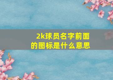 2k球员名字前面的图标是什么意思