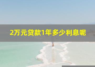 2万元贷款1年多少利息呢