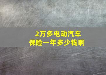 2万多电动汽车保险一年多少钱啊