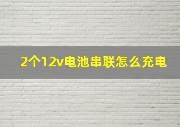 2个12v电池串联怎么充电