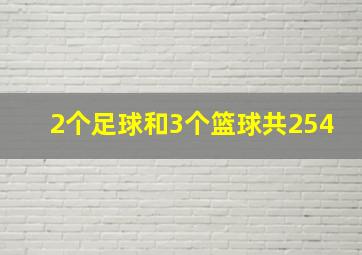 2个足球和3个篮球共254