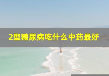 2型糖尿病吃什么中药最好