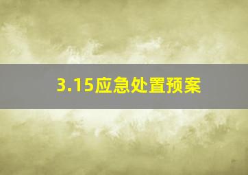 3.15应急处置预案