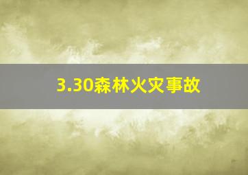 3.30森林火灾事故