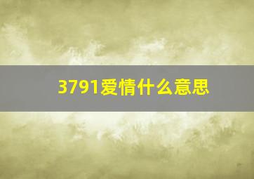 3791爱情什么意思