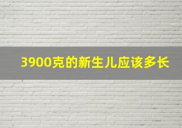 3900克的新生儿应该多长