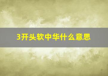 3开头软中华什么意思