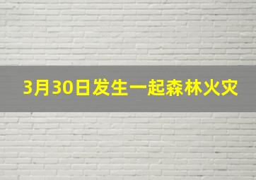 3月30日发生一起森林火灾