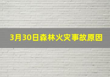 3月30日森林火灾事故原因