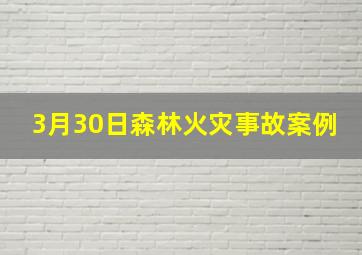 3月30日森林火灾事故案例