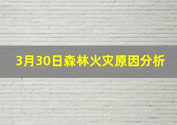 3月30日森林火灾原因分析