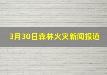 3月30日森林火灾新闻报道