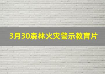 3月30森林火灾警示教育片