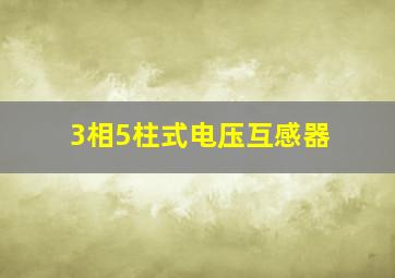 3相5柱式电压互感器