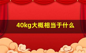 40kg大概相当于什么