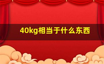 40kg相当于什么东西