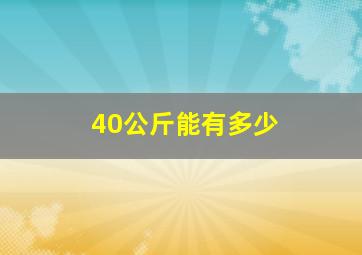 40公斤能有多少