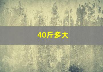 40斤多大