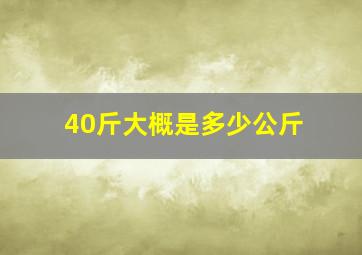 40斤大概是多少公斤