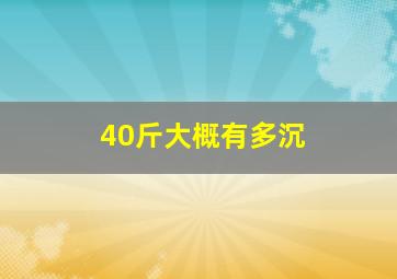 40斤大概有多沉