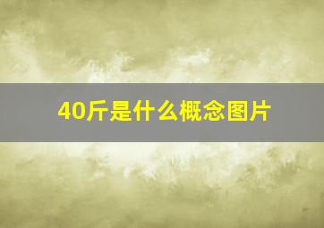 40斤是什么概念图片