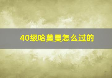 40级哈莫曼怎么过的