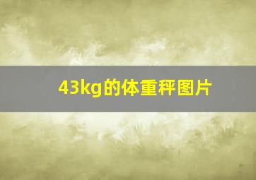 43kg的体重秤图片