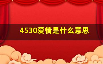 4530爱情是什么意思