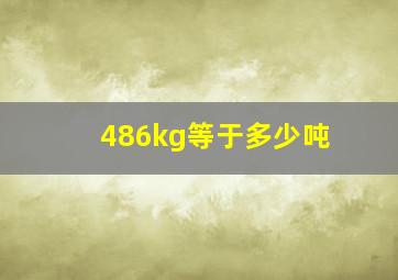 486kg等于多少吨