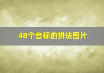 48个音标的拼法图片