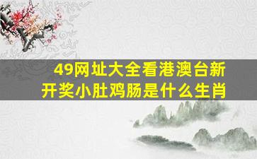 49网址大全看港澳台新开奖小肚鸡肠是什么生肖