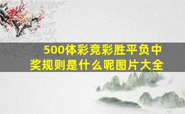 500体彩竞彩胜平负中奖规则是什么呢图片大全