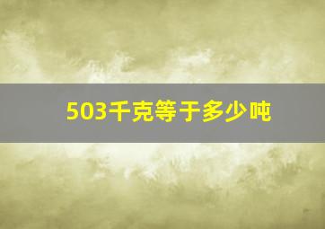 503千克等于多少吨