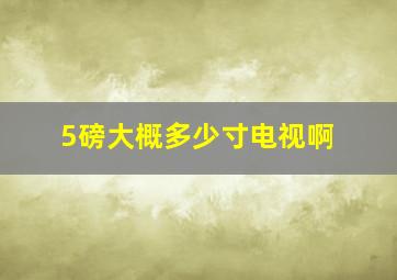 5磅大概多少寸电视啊