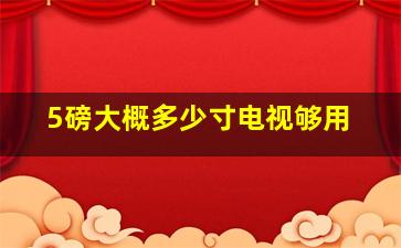 5磅大概多少寸电视够用