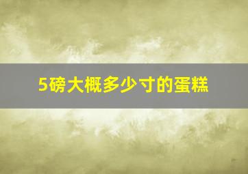 5磅大概多少寸的蛋糕