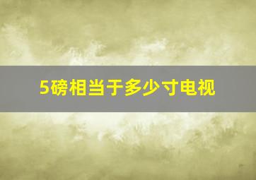 5磅相当于多少寸电视