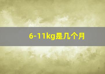 6-11kg是几个月