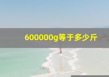 600000g等于多少斤