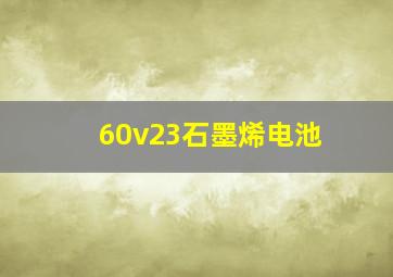 60v23石墨烯电池