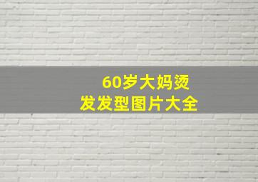 60岁大妈烫发发型图片大全