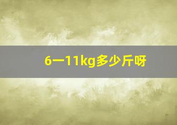 6一11kg多少斤呀