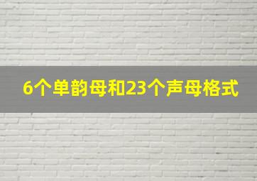 6个单韵母和23个声母格式